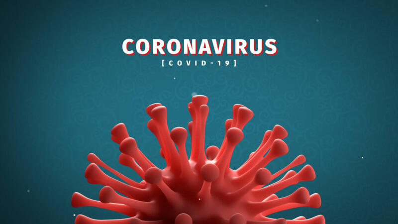 A 3-D model of the corona virus